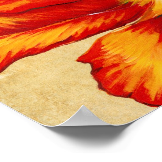 Parrot Tulip II Poster (Ecke)