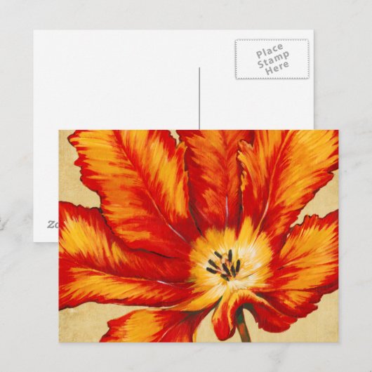 Parrot Tulip II Postkarte (Vorne/Hinten)