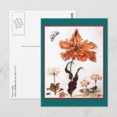 Parrot Tulip Postcard Postkarte (Vorne/Hinten)