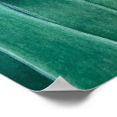 Parrot Tulip Poster (Ecke)