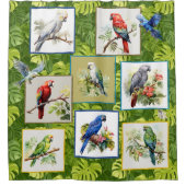 Parrot und schöner Exotic Bird Duschvorhang (Vorderseite)