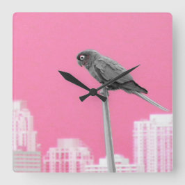 ~Parrot~ WALL CLOCK, PINK, KÜMMERN SIE! Quadratische Wanduhr