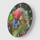 Parrot Wall Clocks Große Wanduhr (Winkel)