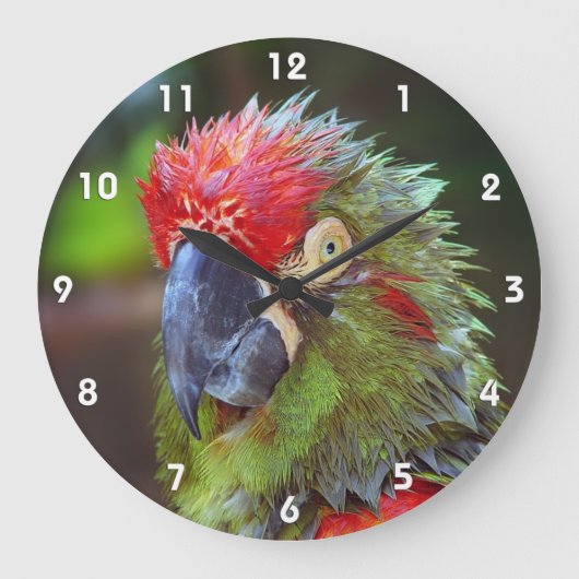 Parrot Wall Clocks Große Wanduhr (Vorderseite)