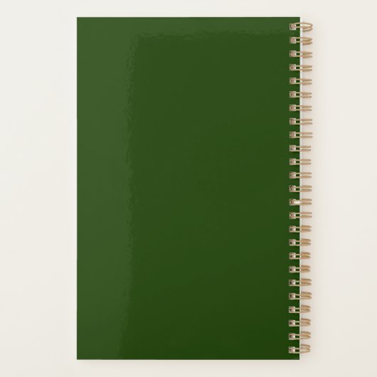 Parrot Wingman Planer (Rückseite)