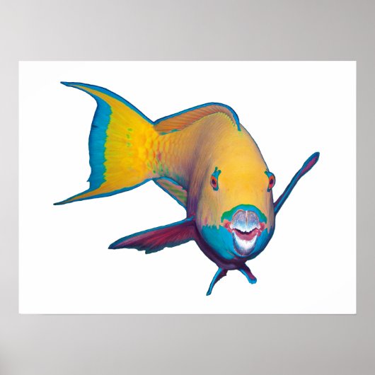 Parrotfish - Abstraktes Design - Aus dem Foto schn Poster (Vorne)