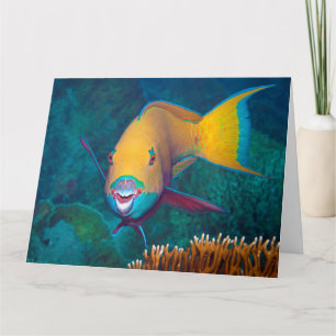 Parrotfish - auffallendes Make-up! Farbiges Foto   Karte