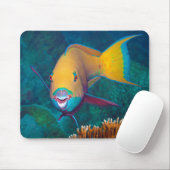 Parrotfish - auffallendes Make-up! Farbiges Foto | Mousepad (Mit Mouse)