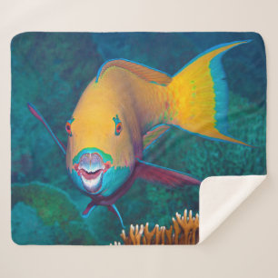 Parrotfish - auffallendes Make-up! Farbiges Foto Sherpadecke