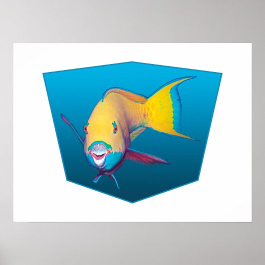 Parrotfish - blauer Hintergrund mit Designgradient Poster (Vorne)