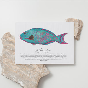 Parrotfish Postkarte