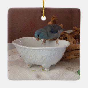 Parrotlet Bath Keramikornament