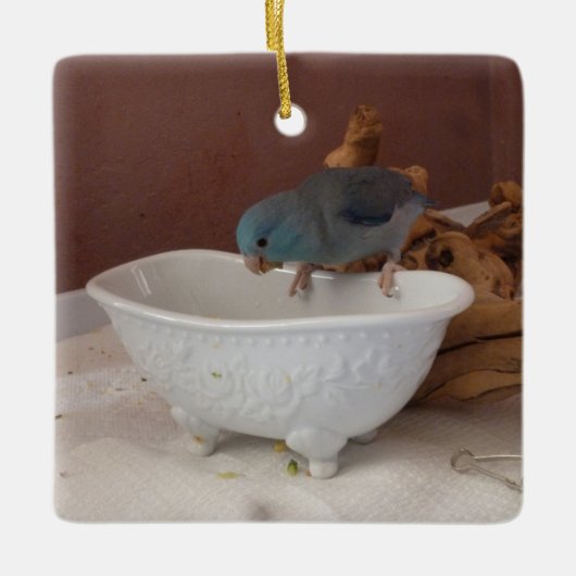 Parrotlet Bath Keramikornament (Vorderseite)