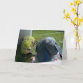 Parrotlet Birds Humourous Greeting Card Foto Karte (Gelbe Blume)