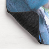 Parrotlet Blue Bird Kommunion mit Naturmousepad Mousepad (Ecke)