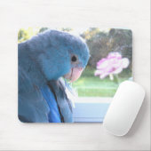 Parrotlet Blue Bird Kommunion mit Naturmousepad Mousepad (Mit Mouse)