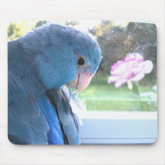 Parrotlet Blue Bird Kommunion mit Naturmousepad Mousepad (Vorne)