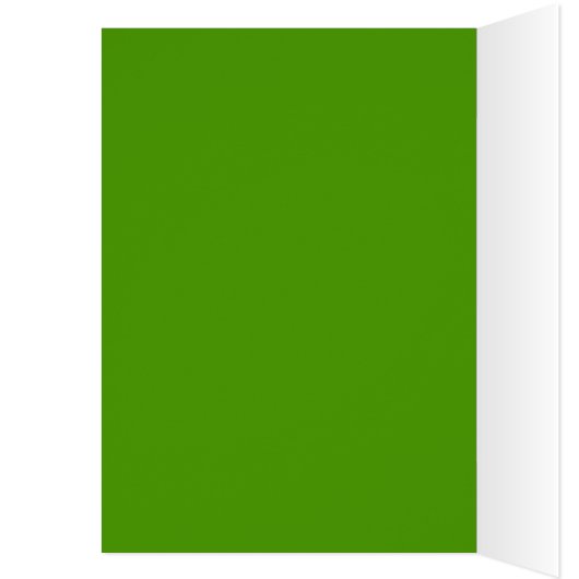 Parrotlet Happy Birthday Card (Innen (Links))