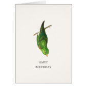 Parrotlet Happy Birthday Card (Vorne)