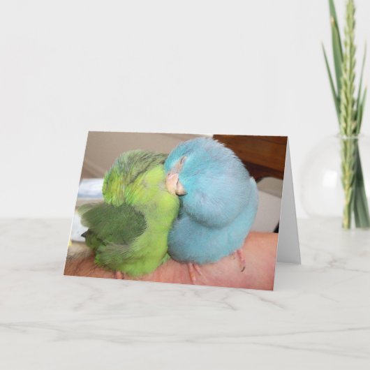 Parrotlet liebt Vögel "in den Armen sicher" Gruß Karte (Vorderseite)