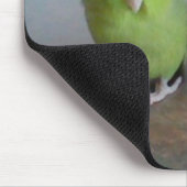 Parrotlet Mousepad (Ecke)