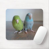 Parrotlet Mousepad (Mit Mouse)