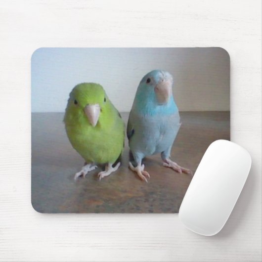 Parrotlet Mousepad (Mit Mouse)