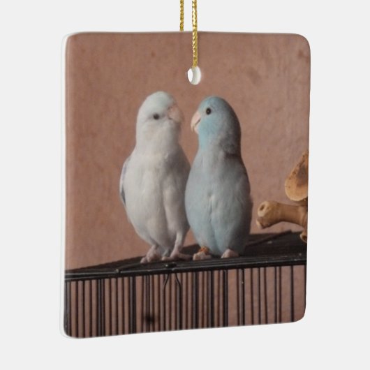 Parrotlet Pair Keramikornament (Rechts)