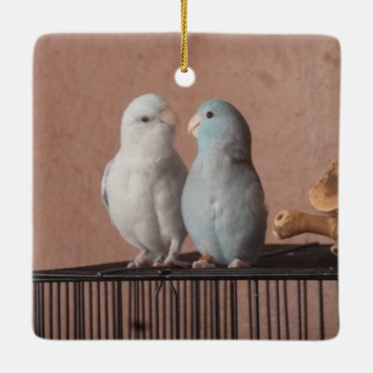 Parrotlet Pair Keramikornament (Rückseite)