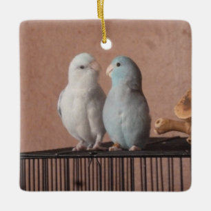 Parrotlet Pair Keramikornament
