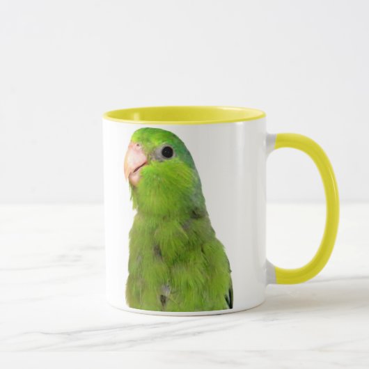 Parrotlet Vogel-Grün Parrotlet gelbe Tasse (Rechts)