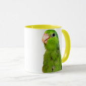 Parrotlet Vogel-Grün Parrotlet gelbe Tasse (VorderseiteRechts)