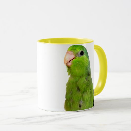 Parrotlet Vogel-Grün Parrotlet gelbe Tasse (VorderseiteRechts)