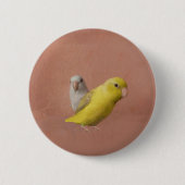 Parrotlets Button (Vorderseite)