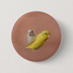 Parrotlets Button