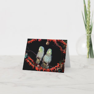 ParrotletsHoliday Card Feiertagskarte