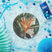 Parrot's Beak Heliconia Perennial Kraut Pappteller (Party)