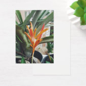 Parrots Beak Heliconia Perennial Kraut Visitenkart (Schreibtisch)