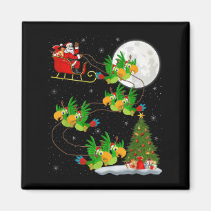 Parrots Bird Santa Sleigh Funny Magic Chr Magnet
