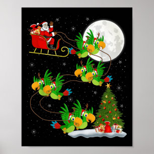 Parrots Bird Santa Sleigh Funny Magic Chr Poster