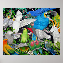 Parrots des Weltplakats Poster