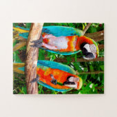 Parrots Florida Jigsaw Puzzle (Horizontal)
