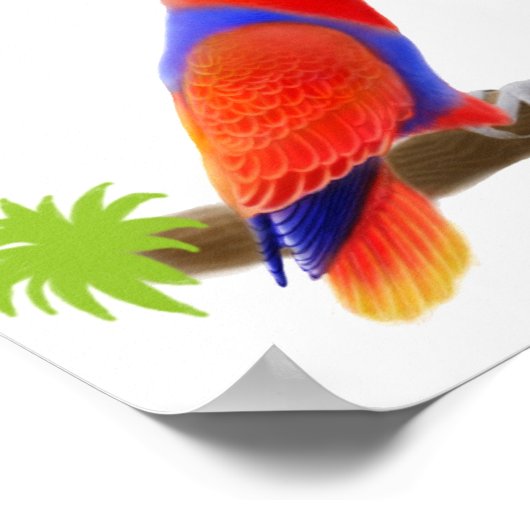 Parrots Galore Poster (Ecke)