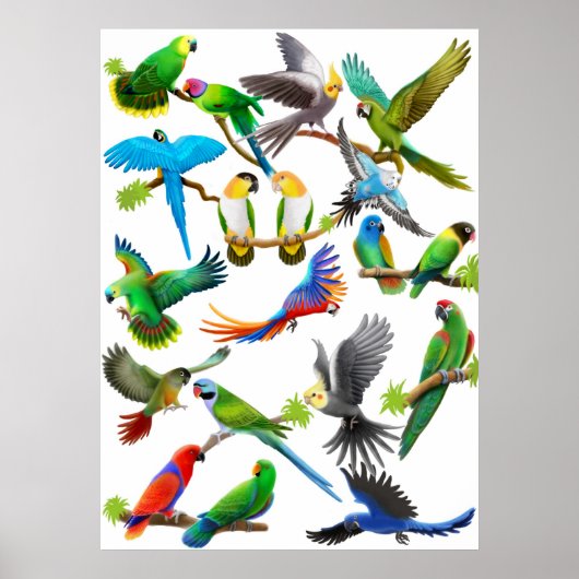 Parrots Galore Poster (Vorne)