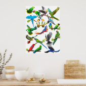 Parrots Galore Poster (Küche)