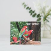 Parrots Happy Birthday Card Postkarte (Stehend Vorderseite)