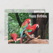 Parrots Happy Birthday Card Postkarte (Vorne/Hinten)