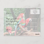 Parrots Happy Birthday Card Postkarte (Rückseite)