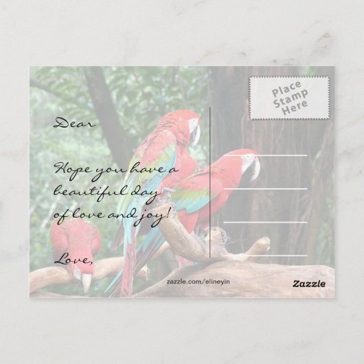 Parrots Happy Mather's Day Postkarte (Rückseite)