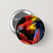 Parrots in der Liebe Button (Vorne & Hinten)